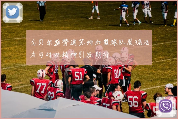 戈贝尔盛赞道苏姆加盟球队展现活力与对抗精神引发期待